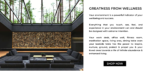 Website Theme Page